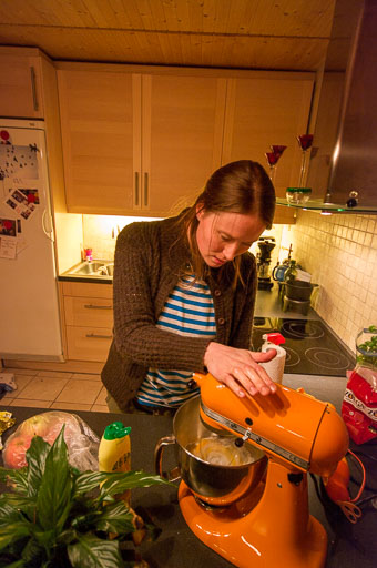 01-19-2011-20-08-43-Pentax-K20D_9336.jpg