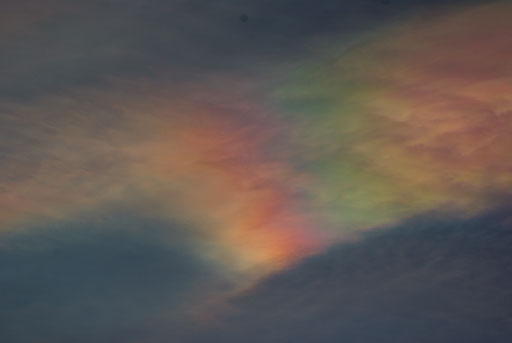 02-06-2011-07-59-40-Pentax-K10D_8084.jpg
