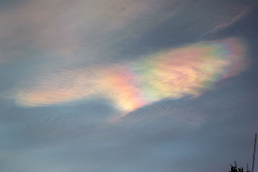 02-06-2011-07-59-51-Pentax-K10D_8085.jpg