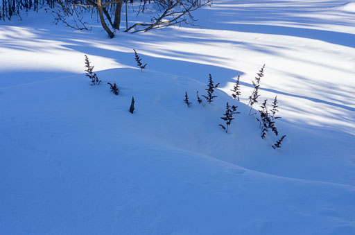 02-12-2011-13-08-57-Pentax-K-5_8195.jpg