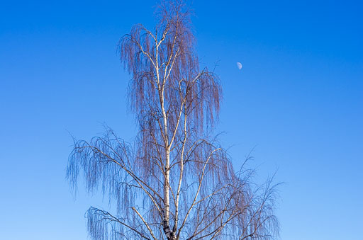 02-12-2011-13-10-48-Pentax-K-5_8198.jpg