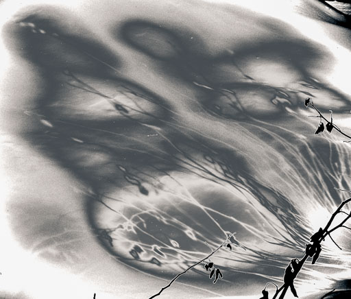 02-12-2011-13-15-17-Pentax-K-5_.jpg