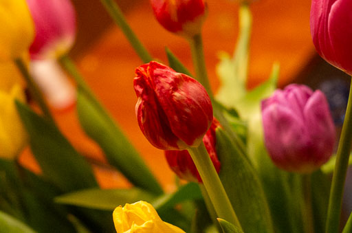02-17-2011-19-47-55-Pentax-K-5_8282.jpg