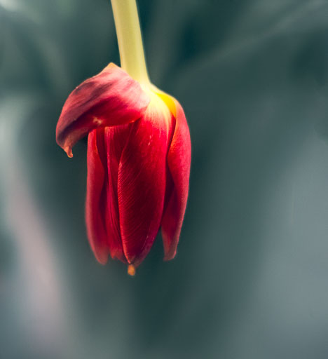 02-17-2011-19-58-16-Pentax-K-5_.jpg