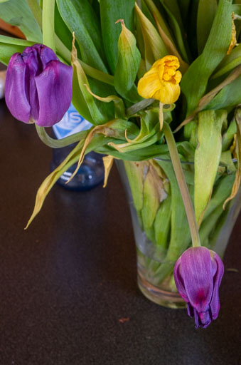 02-18-2011-12-37-12-Pentax-K-5_8313.jpg