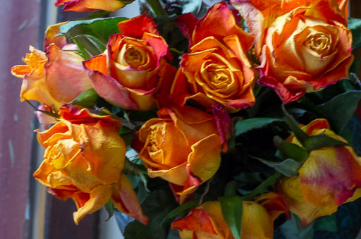 02-18-2011-12-39-32-Pentax-K-5_8319.jpg