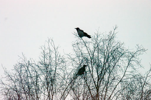 02-26-2011-07-21-03-Pentax-K20D_9350.jpg