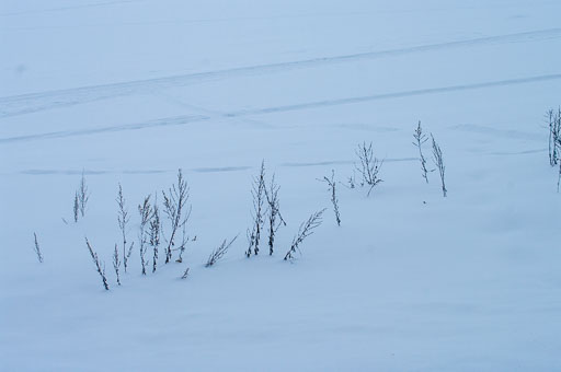02-26-2011-07-39-50-Pentax-K20D_9364.jpg