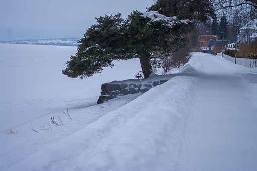 02-26-2011-07-48-43-Pentax-K20D_9370.jpg