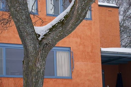 02-26-2011-07-58-46-Pentax-K20D_9384.jpg