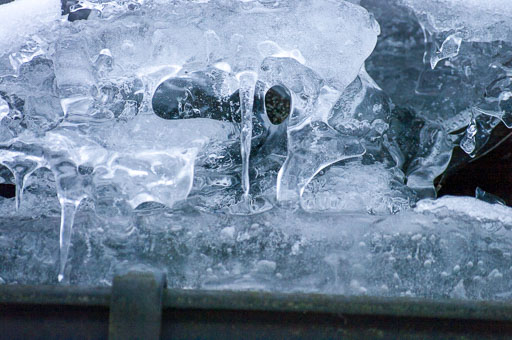 03-18-2011-06-51-01-Pentax-K20D_9620.jpg