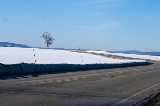 03-20-2011-08-36-03-Pentax-K20D_9759.jpg