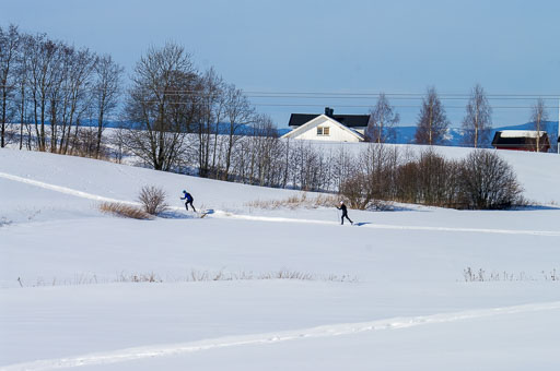 03-20-2011-13-59-09-Pentax-K20D_9789.jpg