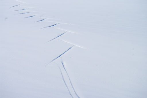 03-20-2011-14-13-17-Pentax-K20D_9806.jpg