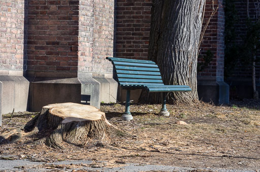 03-25-2011-11-18-45-Pentax-K-5_9998.jpg