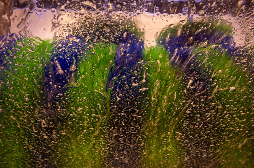 03-27-2011-15-17-20-Pentax-K-5_0073.jpg
