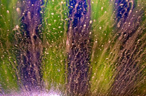 03-27-2011-15-17-30-Pentax-K-5_0074.jpg