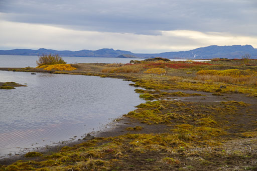 10-01-2023-14-50-40-Pentax-K-1-06.jpg