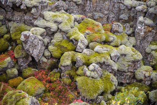 10-01-2023-15-20-15-Pentax-K-1-07.jpg
