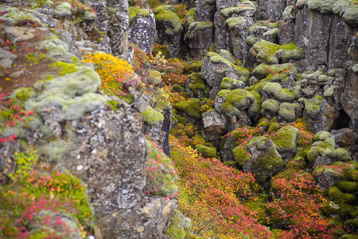 10-01-2023-15-20-31-Pentax-K-1-08.jpg