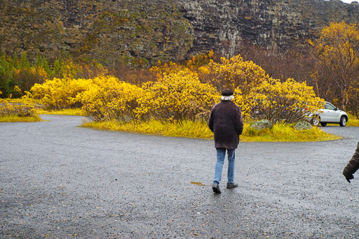 10-03-2023-16-13-31-Pentax-K-1-40.jpg