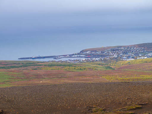 10-04-2023-13-14-22-Pentax-645Z-50.jpg