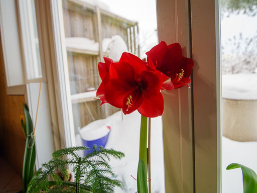12-29-00888-13-00-34-Pentax-645Z-0888.jpg