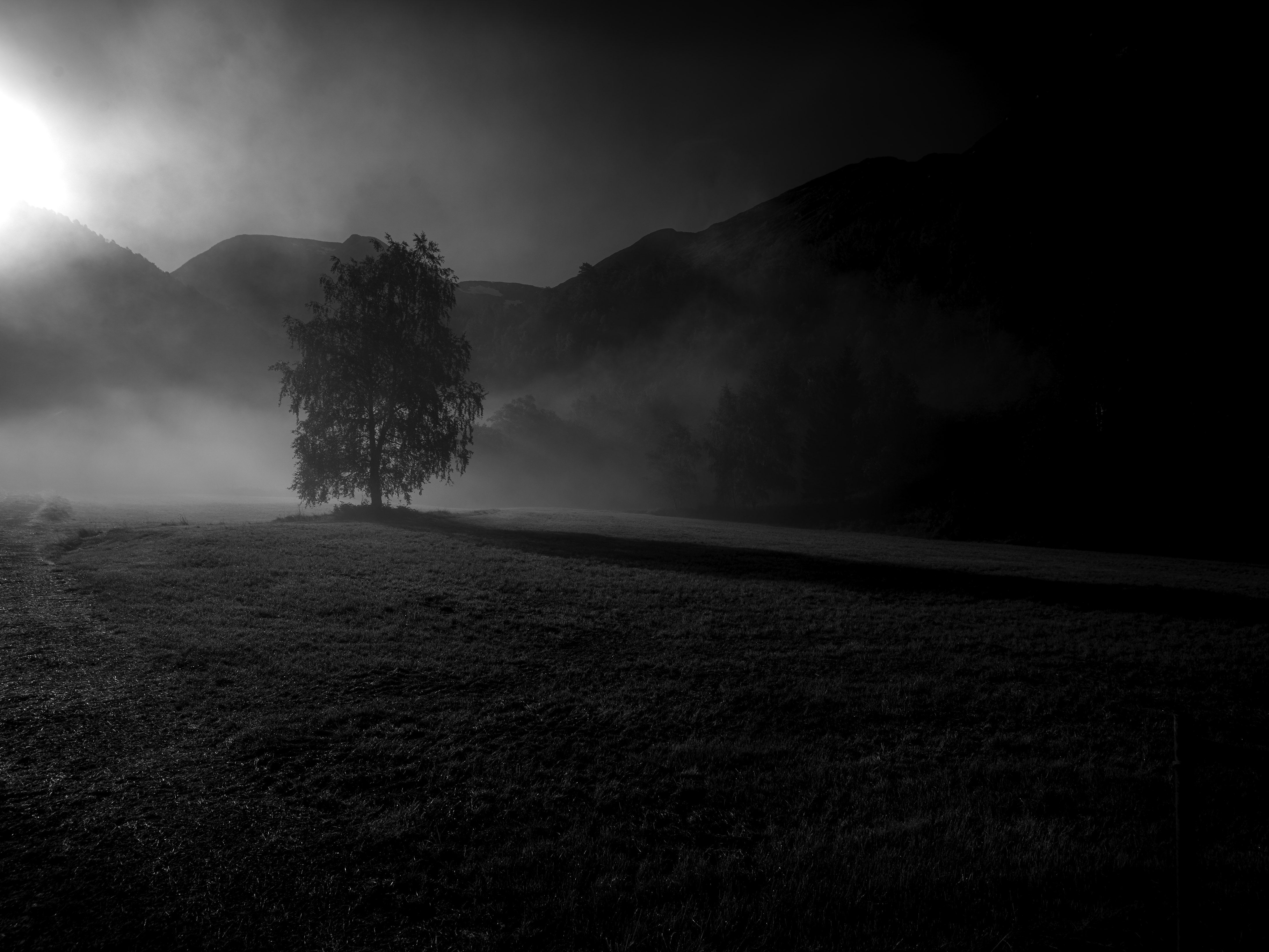 09-07-07;57;00-2025---_IMG7919.jpg 09-07-07;57;00-2025---_IMG7919.jpg