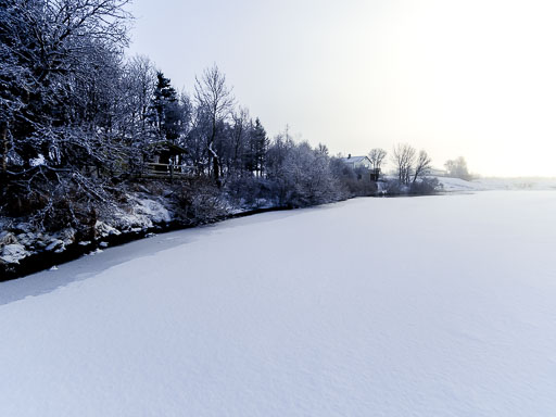 01-31--13-35-51-2026Pentax-645Z__IMG1213.jpg