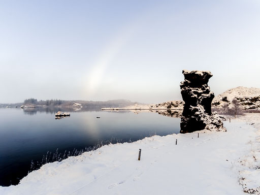 01-31--14-25-10-2026Pentax-645Z__IMG1294.jpg