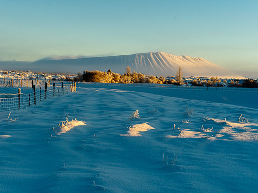 01-17--12-21-37-2026Pentax-645Z__IMG0380.jpg