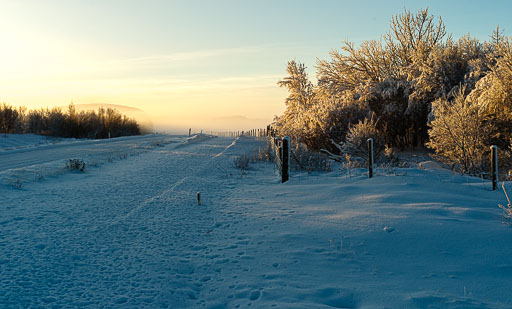 01-17--12-25-53-2026Pentax-645Z__IMG0394.jpg