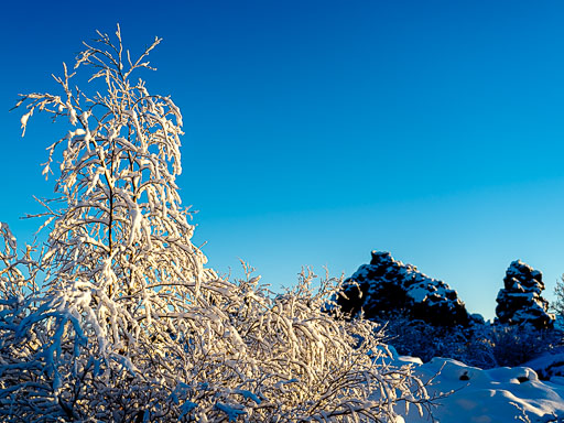 01-17--12-42-38-2026Pentax-645Z__IMG0412.jpg