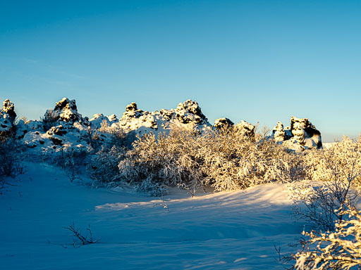 01-17--12-52-36-2026Pentax-645Z__IMG0434.jpg