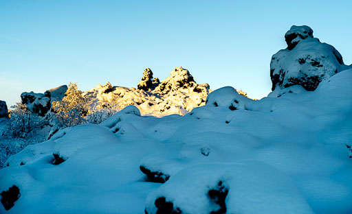 01-17--12-54-11-2026Pentax-645Z__IMG0435.jpg