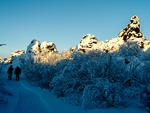01-17--12-55-51-2026Pentax-645Z__IMG0441.jpg