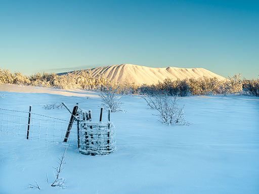 01-17--13-15-34-2026Pentax-645Z__IMG0467.jpg