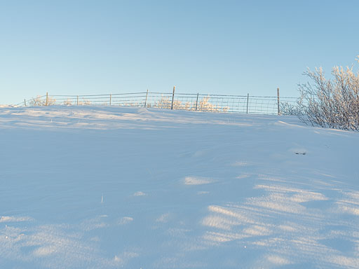 01-17--13-20-43-2026Pentax-645Z__IMG0479.jpg