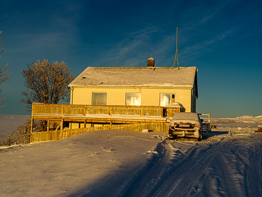 01-17--14-01-11-2026Pentax-645Z__IMG0520.jpg