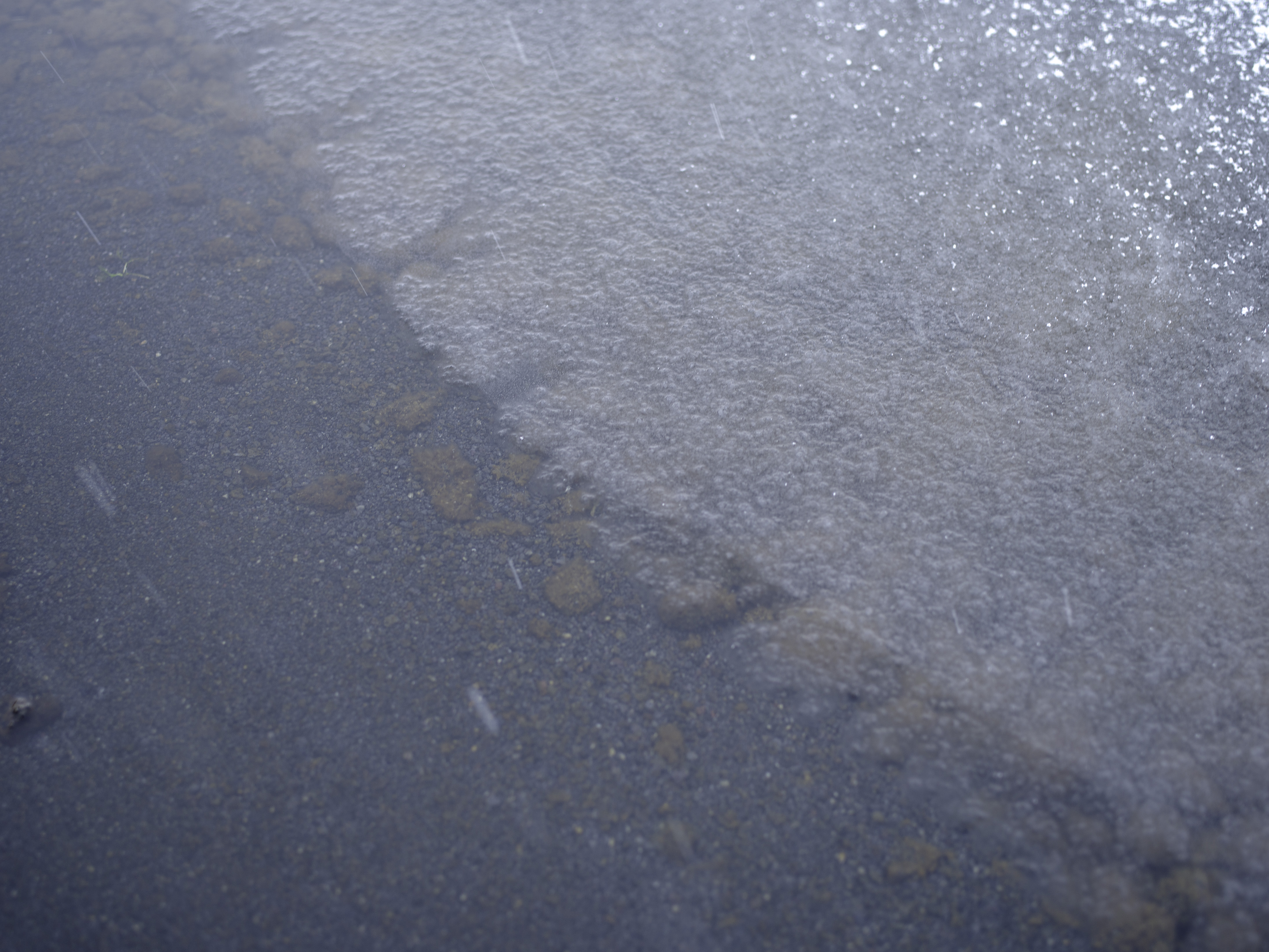 02-08-16;04;11-2026---_IMG1735.jpg 02-08-16;04;11-2026---_IMG1735.jpg