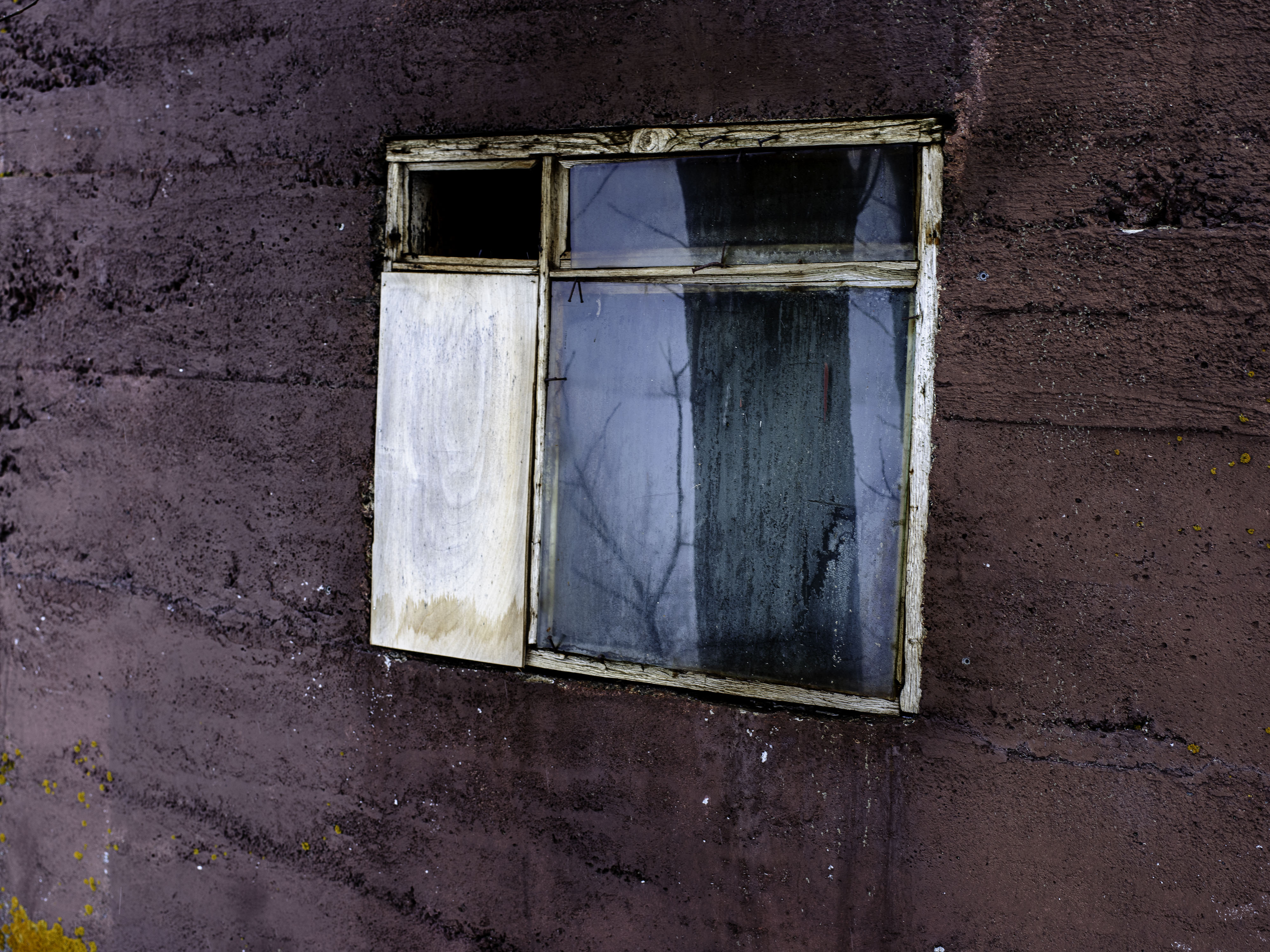       grid Attribute