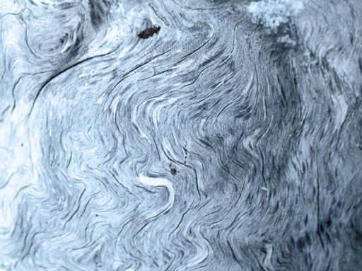 02-12--12-59-55-2026Pentax-645Z__IMG1820.jpg