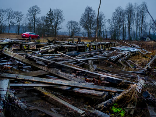 Nútíma skógrækt
 Hero