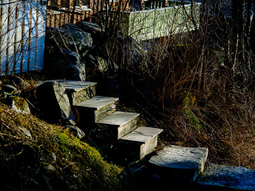 03-30--16-33-17-2026Pentax-645Z__IMG2218.jpg