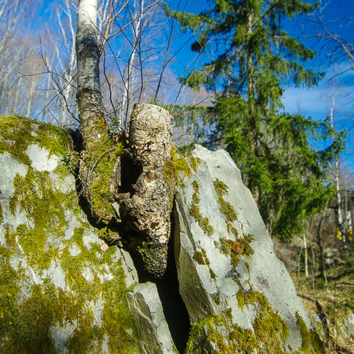 31. April 2026
 Hero