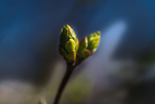 04-24--10-30-43-2026Pentax-K-1_K1__6437.jpg
