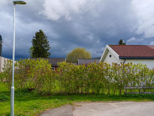 _DSF0269.jpg