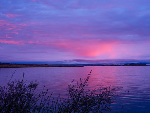 DSCF1393.jpg
