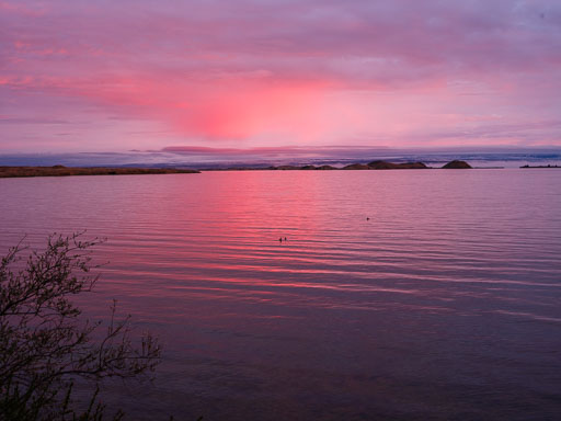 DSCF1396.jpg