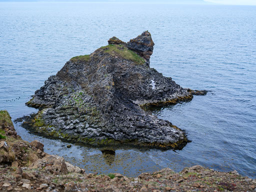 DSCF1400.jpg